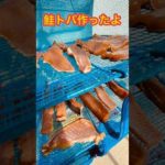 【鮭トバ】#shorts  #オホーツク  #鮭釣り #釣り #つまみ #珍味 #ameチャンネル