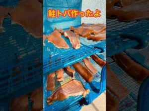 【鮭トバ】#shorts  #オホーツク  #鮭釣り #釣り #つまみ #珍味 #ameチャンネル