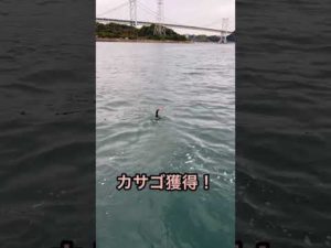 鵜飼チャレンジ 釣り中の出来事