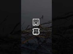 屈斜路湖のヒメマス釣り開幕です。相変わらずの圧倒的ロケーションに癒やされる#屈斜路湖#ヒメマス