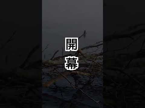 屈斜路湖のヒメマス釣り開幕です。相変わらずの圧倒的ロケーションに癒やされる#屈斜路湖#ヒメマス