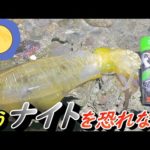 ダブルのお助けマンに助けられ自己記録更新！これさえあれば夜のエギングも爆釣確定！