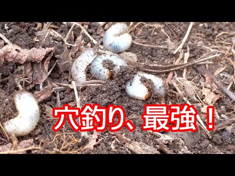 渓流釣り2023ファイナル！やっぱり、穴釣りが最強でした！