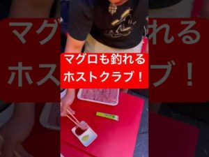 マグロ釣り #大阪 #イケメン #秋 #ジュノン  #セクシー #フェス  #祭り   #ホスト #アイドル #根性 #船釣り#ジャニーズ  #目黒蓮  #釣りよかでしょ  #ラグビー #マグロ釣り