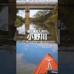 小野川バックウォーターでバス釣りカヤックしました #blackbass #kayakfishing #ブラックバス #霞水系 #shorts