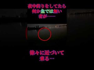 丑三つ時の恐怖　夜釣り#shorts #釣り#心霊#怖い