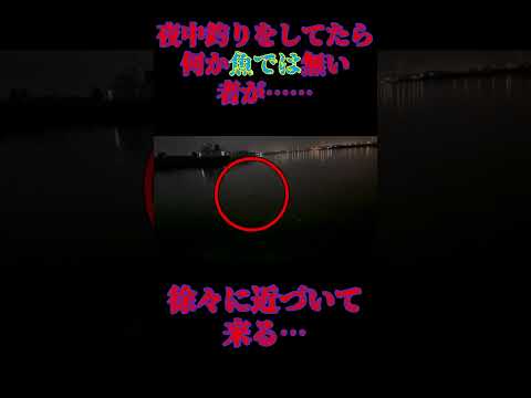 丑三つ時の恐怖　夜釣り#shorts #釣り#心霊#怖い