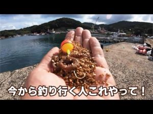 【驚愕】誰も釣れない時でも簡単に大型魚が釣れる堤防投げ釣りバルーン仕掛け