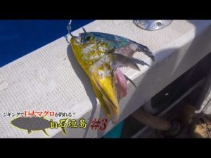 ポテンシャルが高い！シイラを真っ二つにする化け物現る、、【パヤオ・マグロ釣りin石垣島＃３】