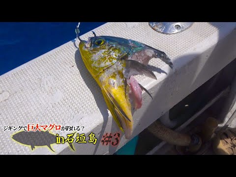 ポテンシャルが高い！シイラを真っ二つにする化け物現る、、【パヤオ・マグロ釣りin石垣島＃３】