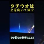 タチウオ水中観察　 #釣り　#ジギング