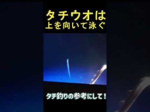 タチウオ水中観察　 #釣り　#ジギング