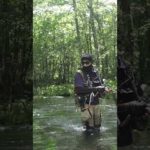 夏の渓流釣り #shorts #渓流釣り #トヨ兄ちゃんねる