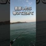 テトラポッドからワームで魚を釣る #shots #釣り