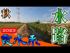 【バス釣り】【霞ヶ浦】秋_霞水系_10月におすすめ？霞南エリアの水路