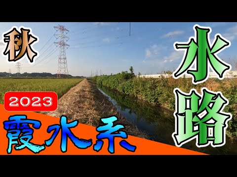 【バス釣り】【霞ヶ浦】秋_霞水系_10月におすすめ？霞南エリアの水路