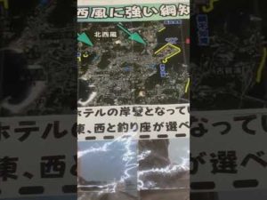 アオリイカ釣りどこがいい？頻繁に聞かれるため白浜店では、綱不知（つなしらず）のご案内しています。ここは足場がよく子供がいても安心。車も止めれ北西風が吹いても大丈夫。しかも魚影が濃く広い。#shorts