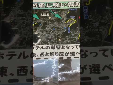 アオリイカ釣りどこがいい?頻繁に聞かれるため白浜店では、綱不知(つなしらず)のご案内しています。ここは足場がよく子供がいても安心。車も止めれ北西風が吹いても大丈夫。しかも魚影が濃く広い。#shorts