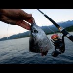 堤防から50kgオーバーGTを夢見て南方の離島へ。マグロ頭と最強タックルで挑む【屋久島編 #1】