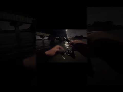 渋い時、ボトムにいるシーバスの釣り方！　#shorts