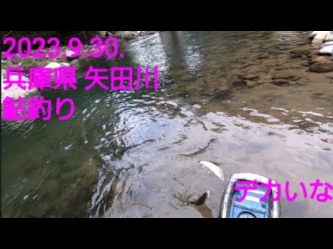 2023.9.30. 兵庫県 矢田川 鮎釣り  色々とトラブル😅