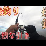 【鮭釣り】2023アキアジ釣り！昼間だけど浮きルアーで秋鮭が爆釣！