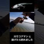 コアマン ij投げたら釣れました… #shorts #釣り #fishing