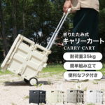 【10日限定10%クーポン配布】【楽天1位】キャリーカート 折りたたみ 軽量 台車 フタ付 耐荷重35kg コンパクト 2輪キャスター付 灯油 キャリー カート コンテナカート 折り畳み台車 荷物運び 買い物カゴ 灯油 運搬 折り畳みボックス キャリーボックス アウトドア 送料無料
