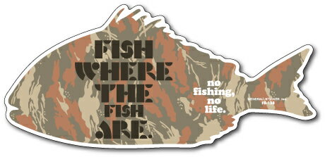 釣りステッカー 迷彩アイコン 魚のいるところで釣りをせよ カモFISH 05 FS138 フィッシング ステッカー 釣り 趣味 グッズ